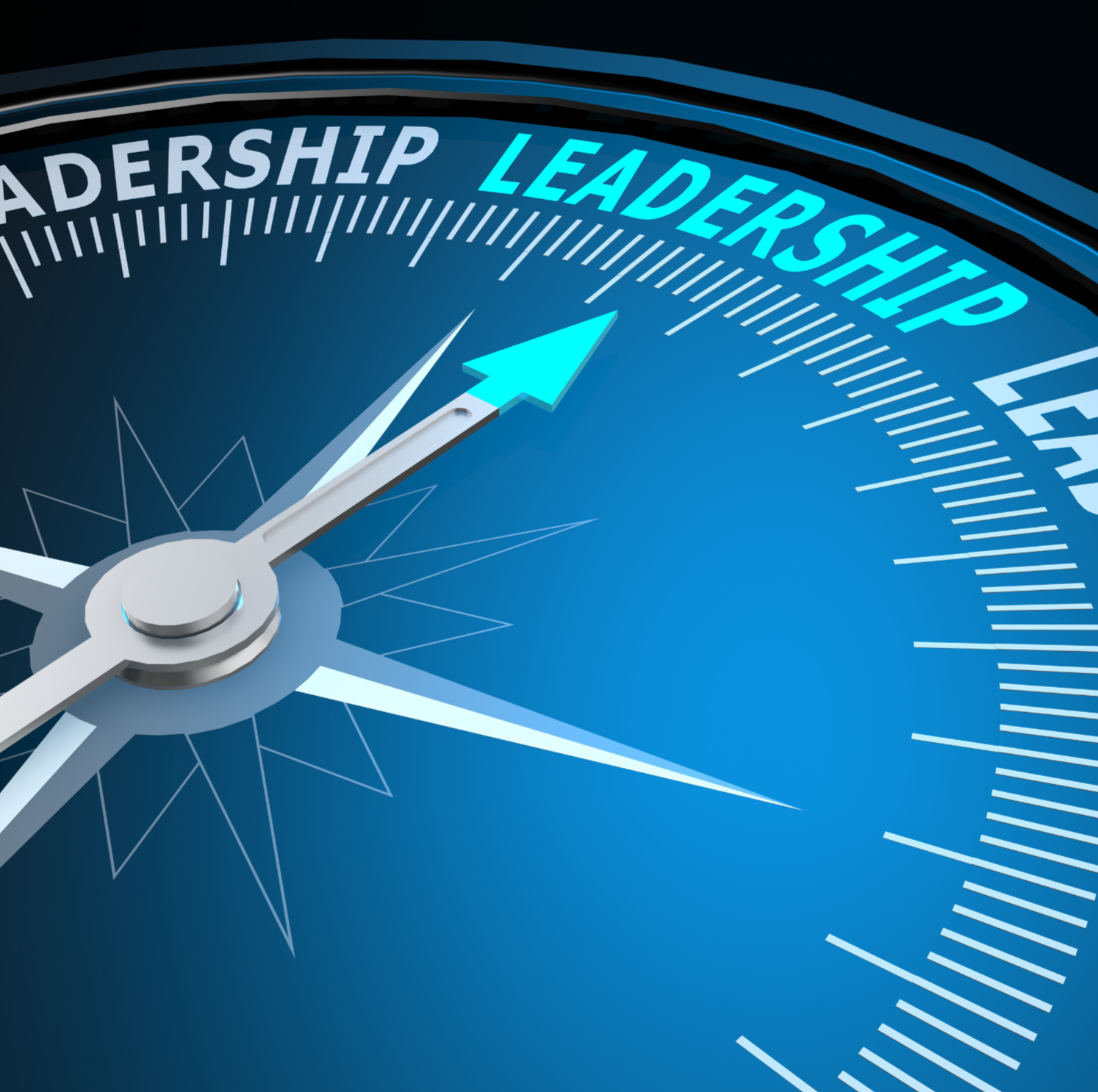 Special Interest Group: Leading an Association
