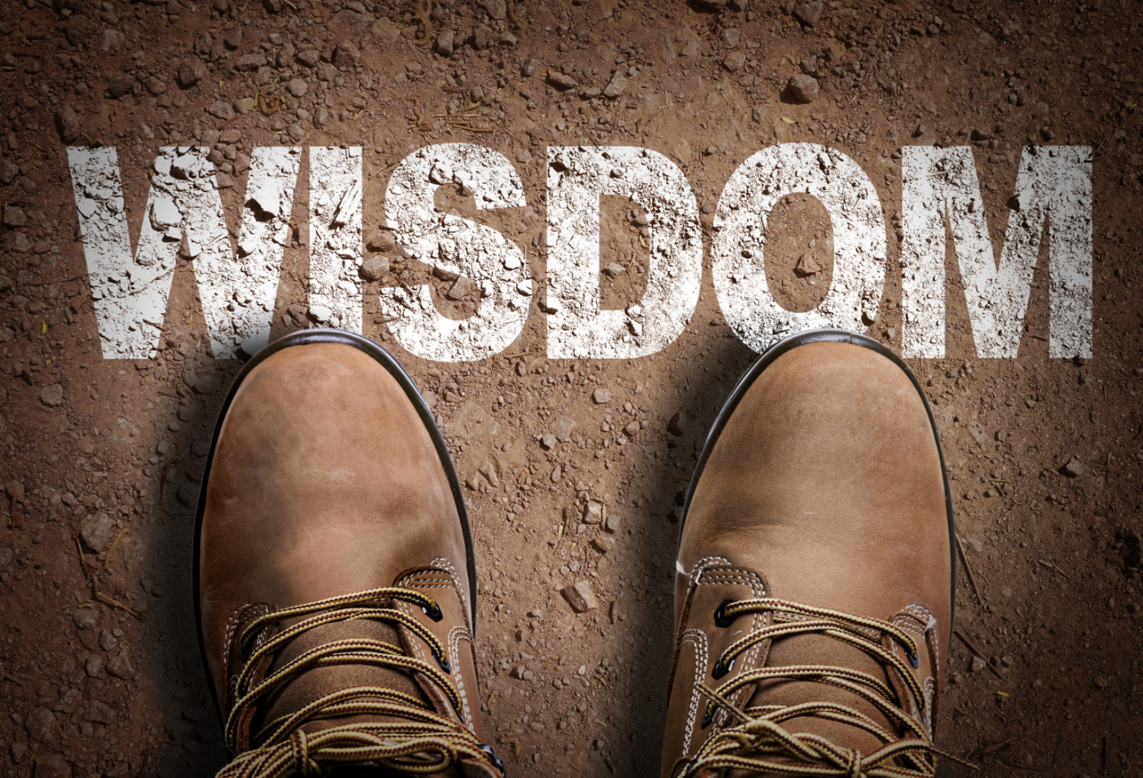 Association Executive Services - Building Wisdom to Face Change