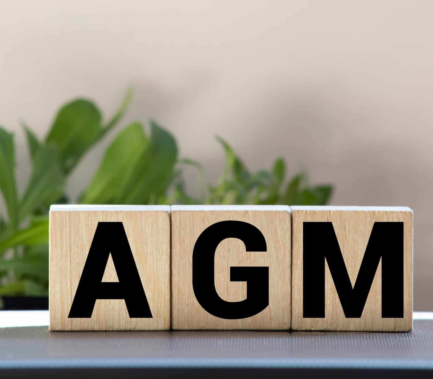 Running an AGM: Top Questions Answered