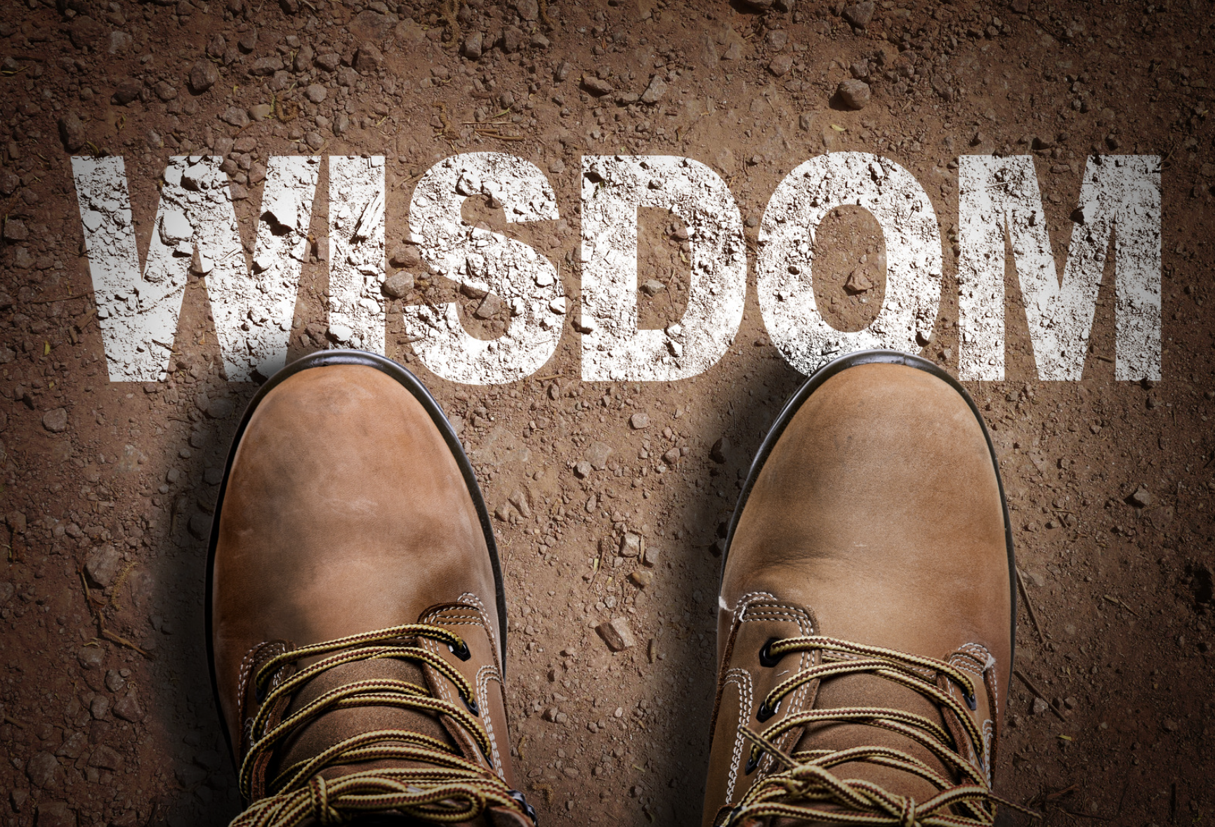 Building Wisdom to Face Change